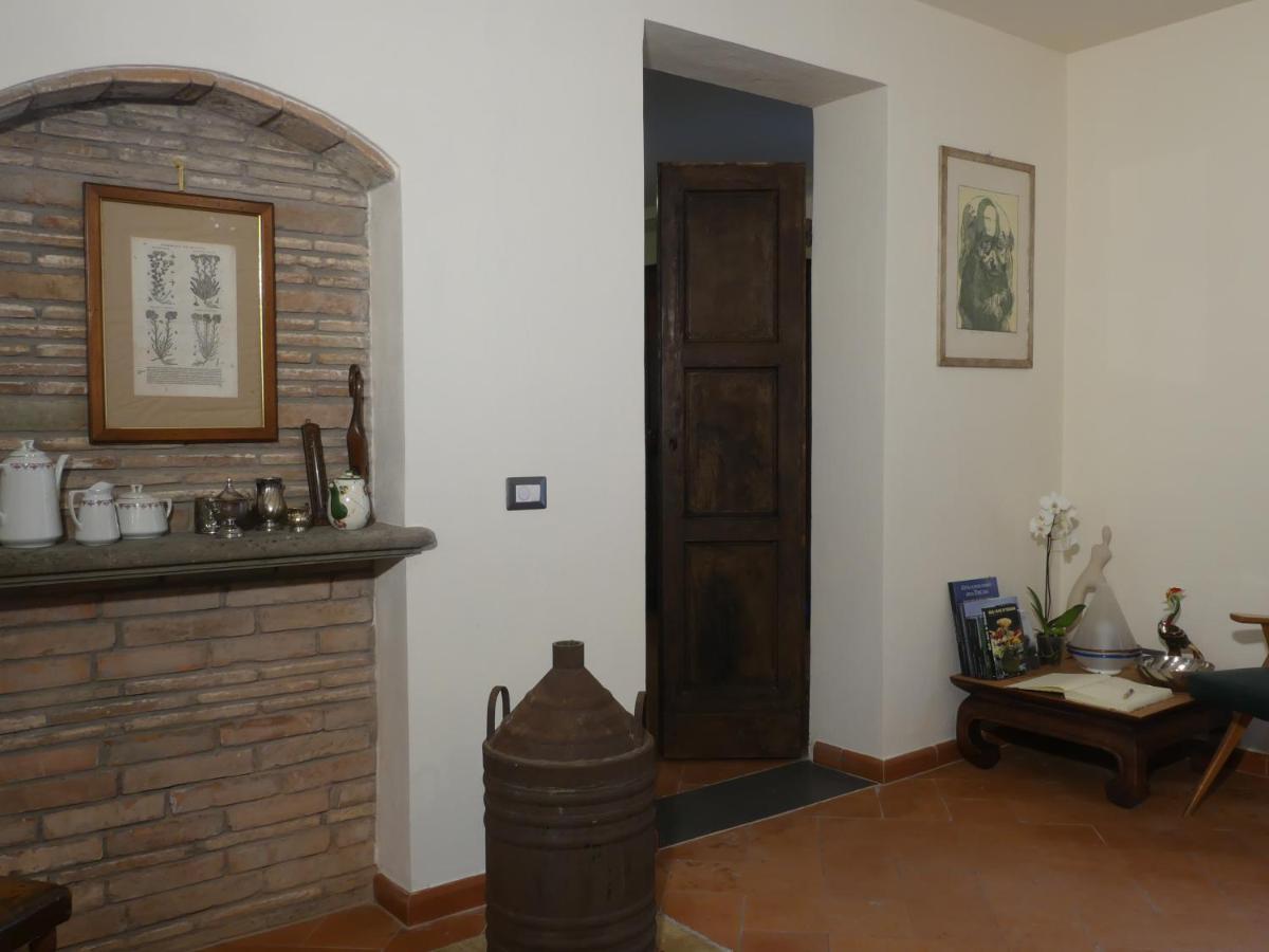 Helichrysum Bed and Breakfast Vinci Buitenkant foto