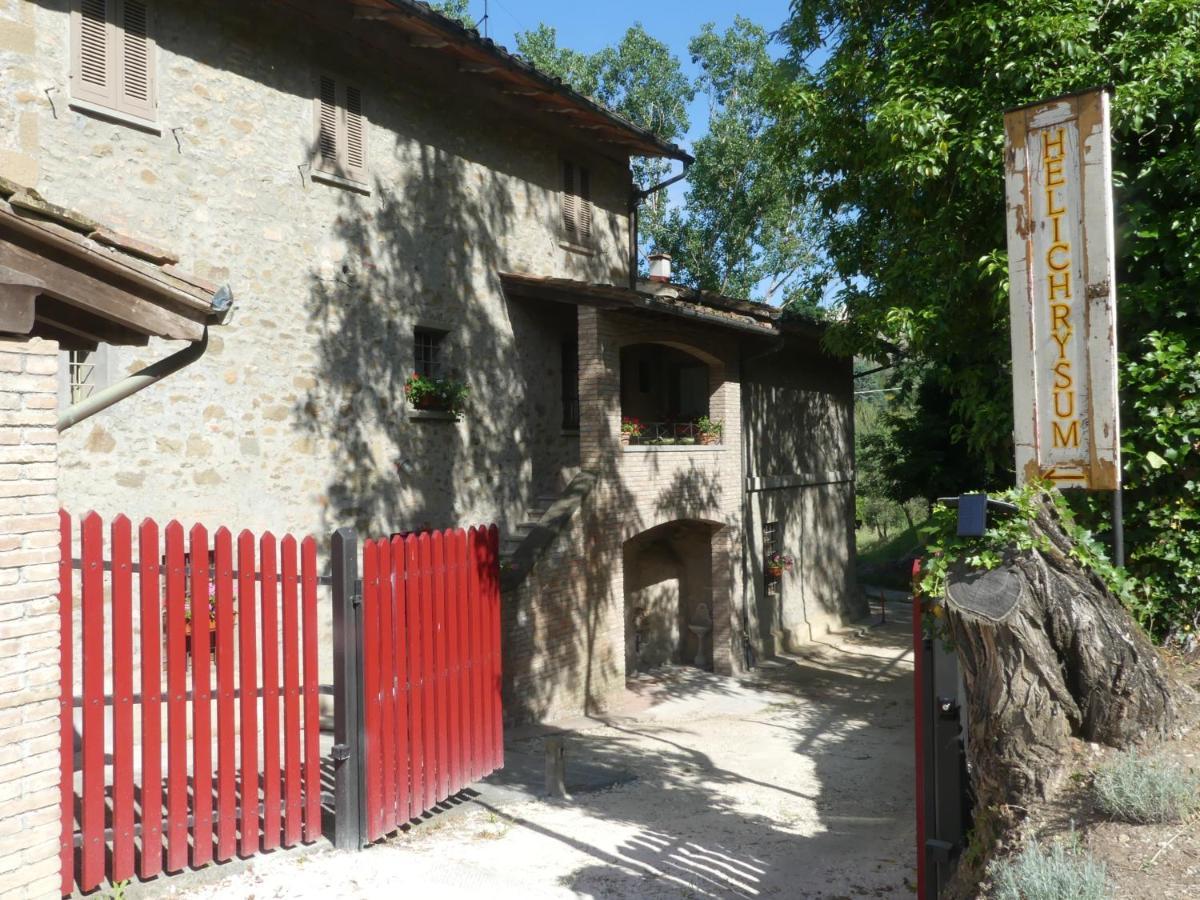 Helichrysum Bed and Breakfast Vinci Buitenkant foto