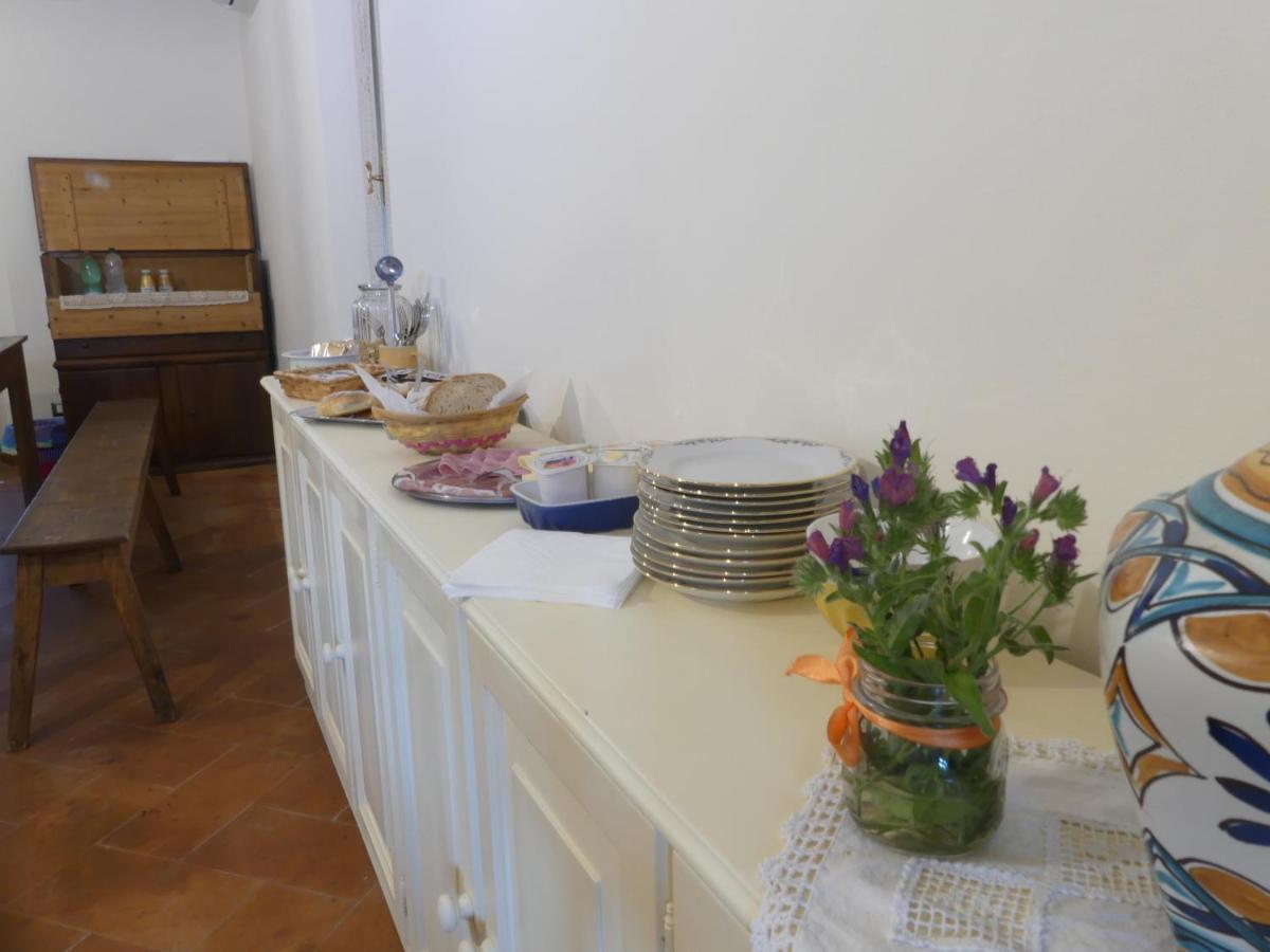 Helichrysum Bed and Breakfast Vinci Buitenkant foto