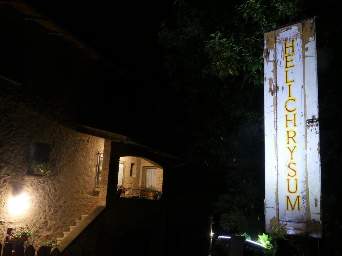 Helichrysum Bed and Breakfast Vinci Buitenkant foto