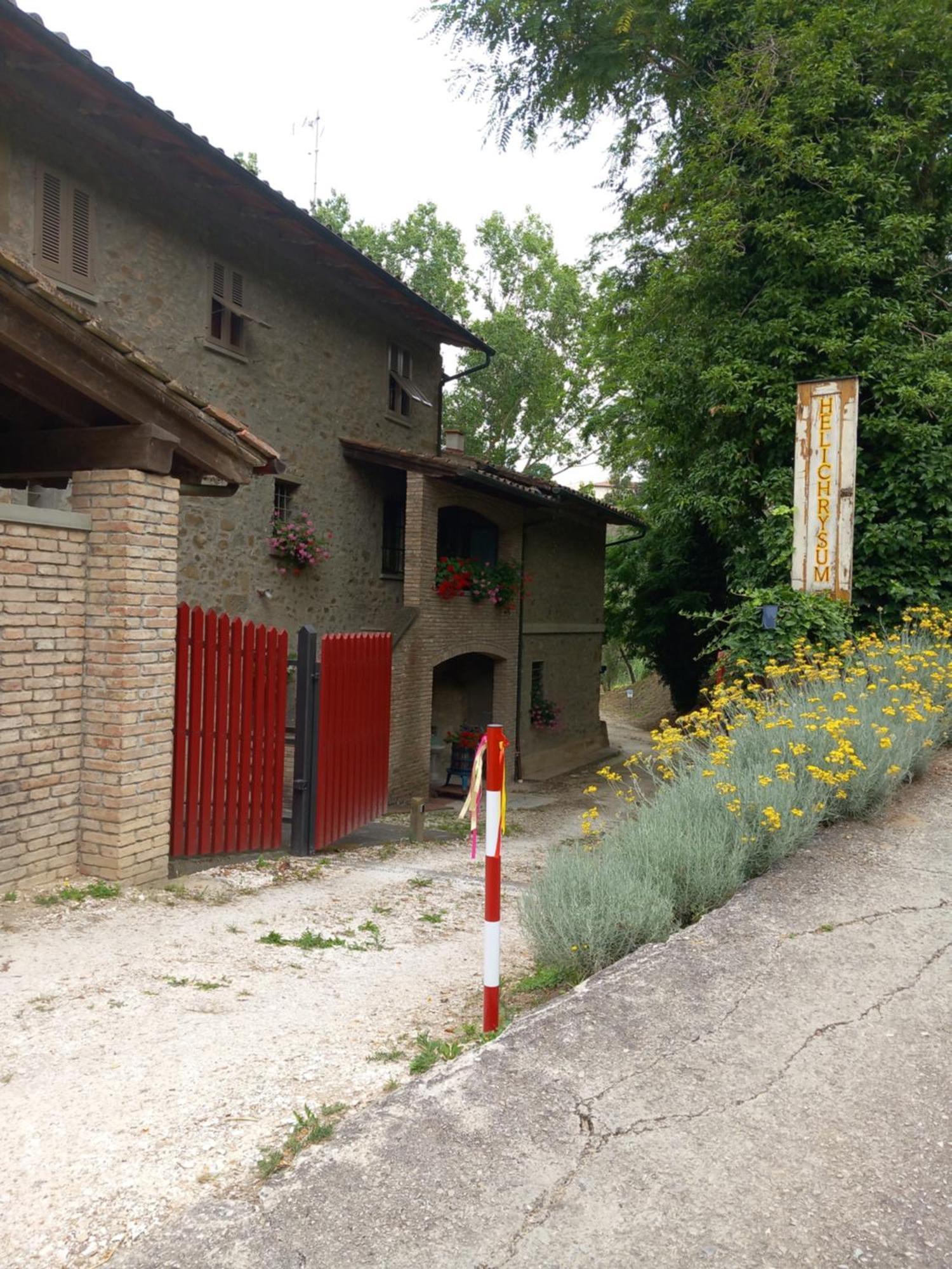 Helichrysum Bed and Breakfast Vinci Buitenkant foto