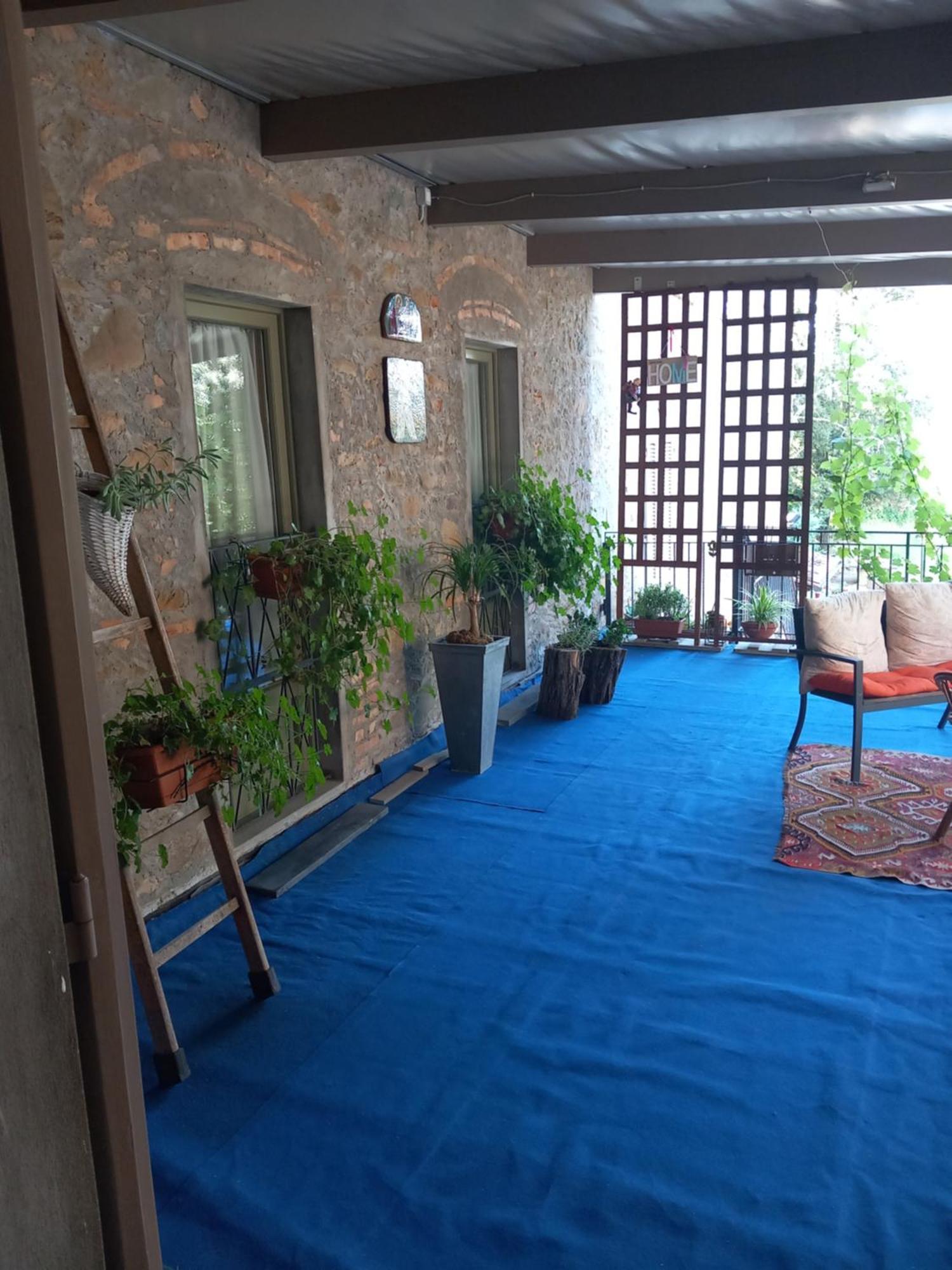 Helichrysum Bed and Breakfast Vinci Buitenkant foto