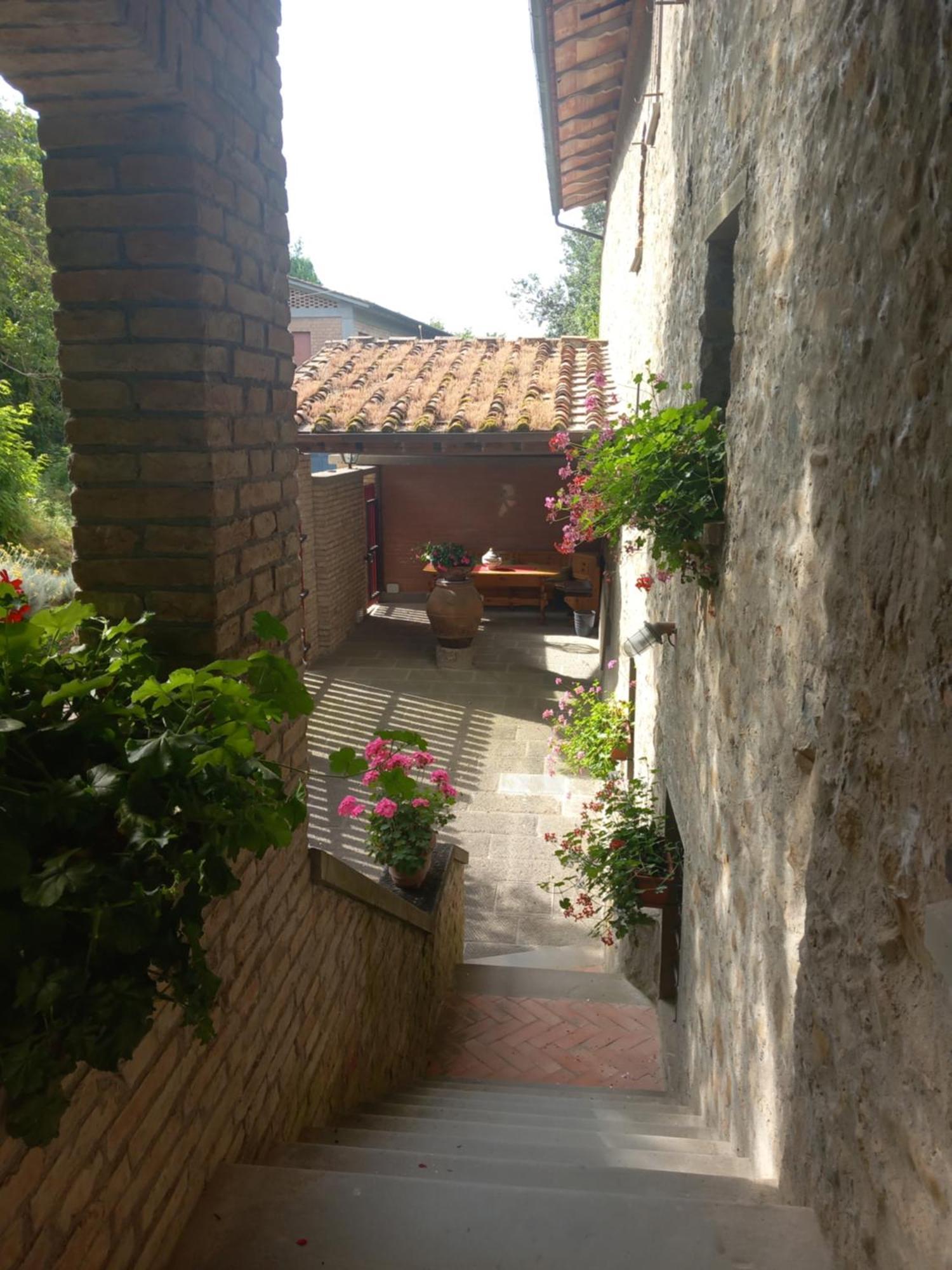 Helichrysum Bed and Breakfast Vinci Buitenkant foto