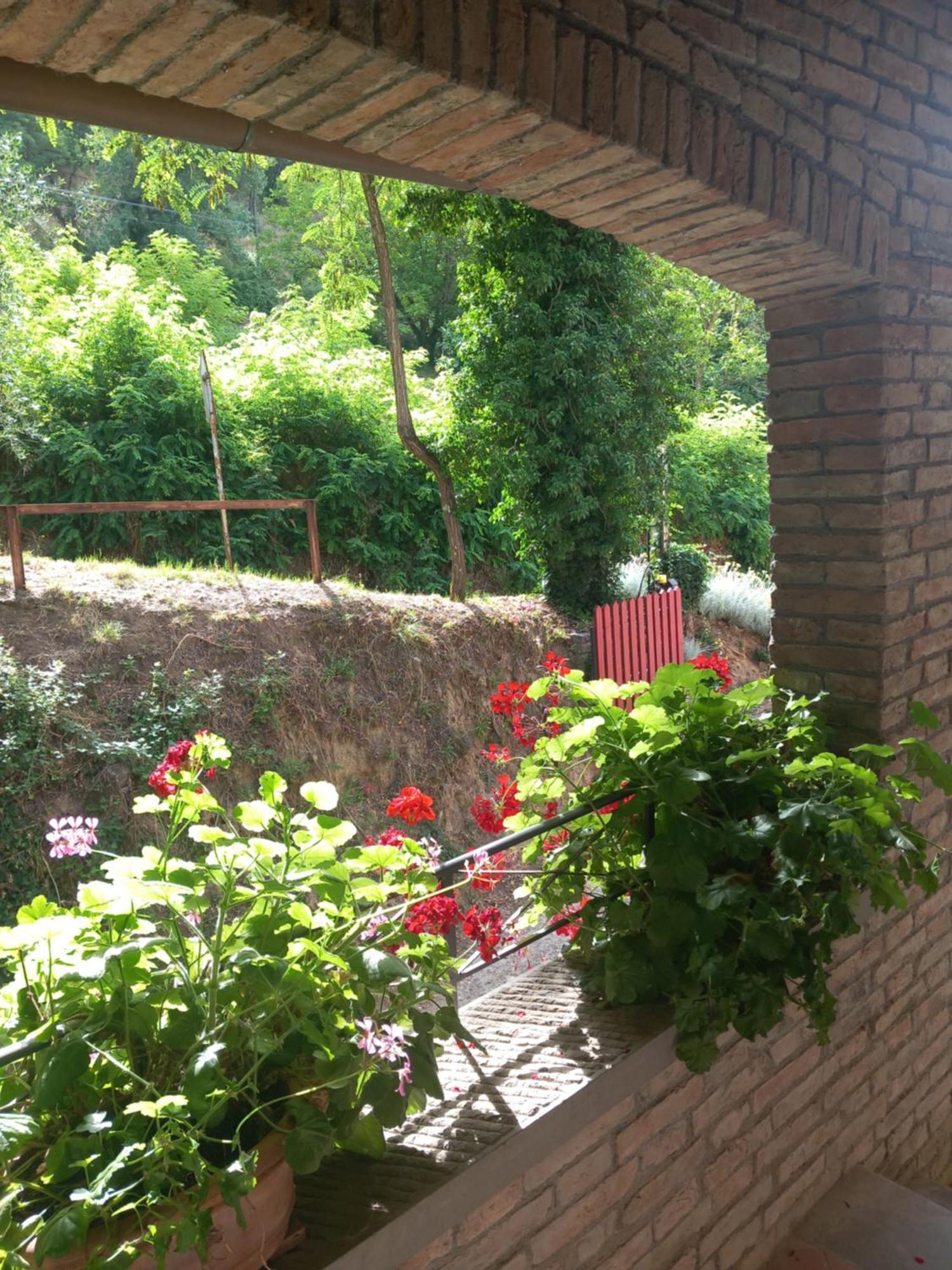 Helichrysum Bed and Breakfast Vinci Buitenkant foto