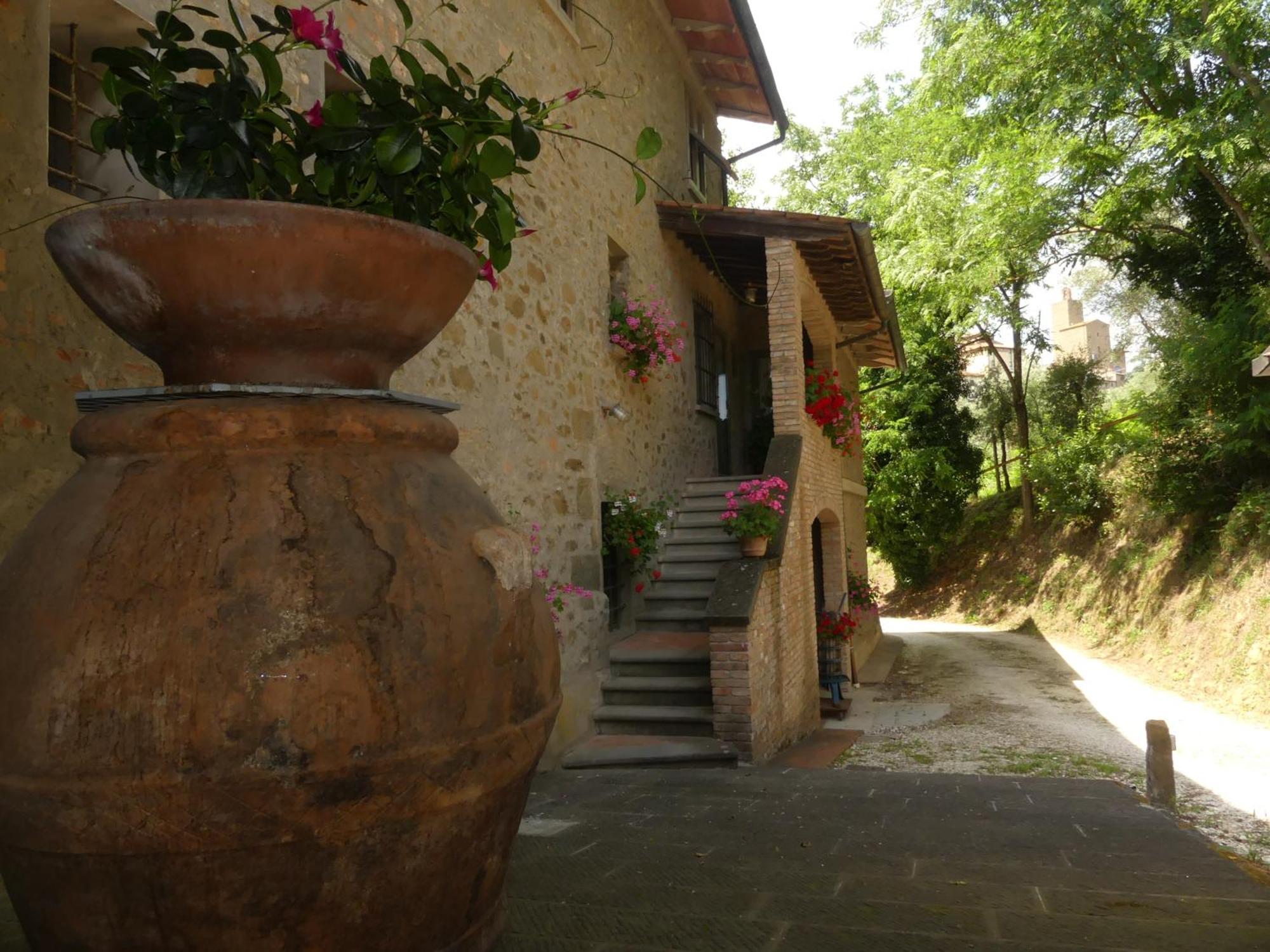 Helichrysum Bed and Breakfast Vinci Buitenkant foto