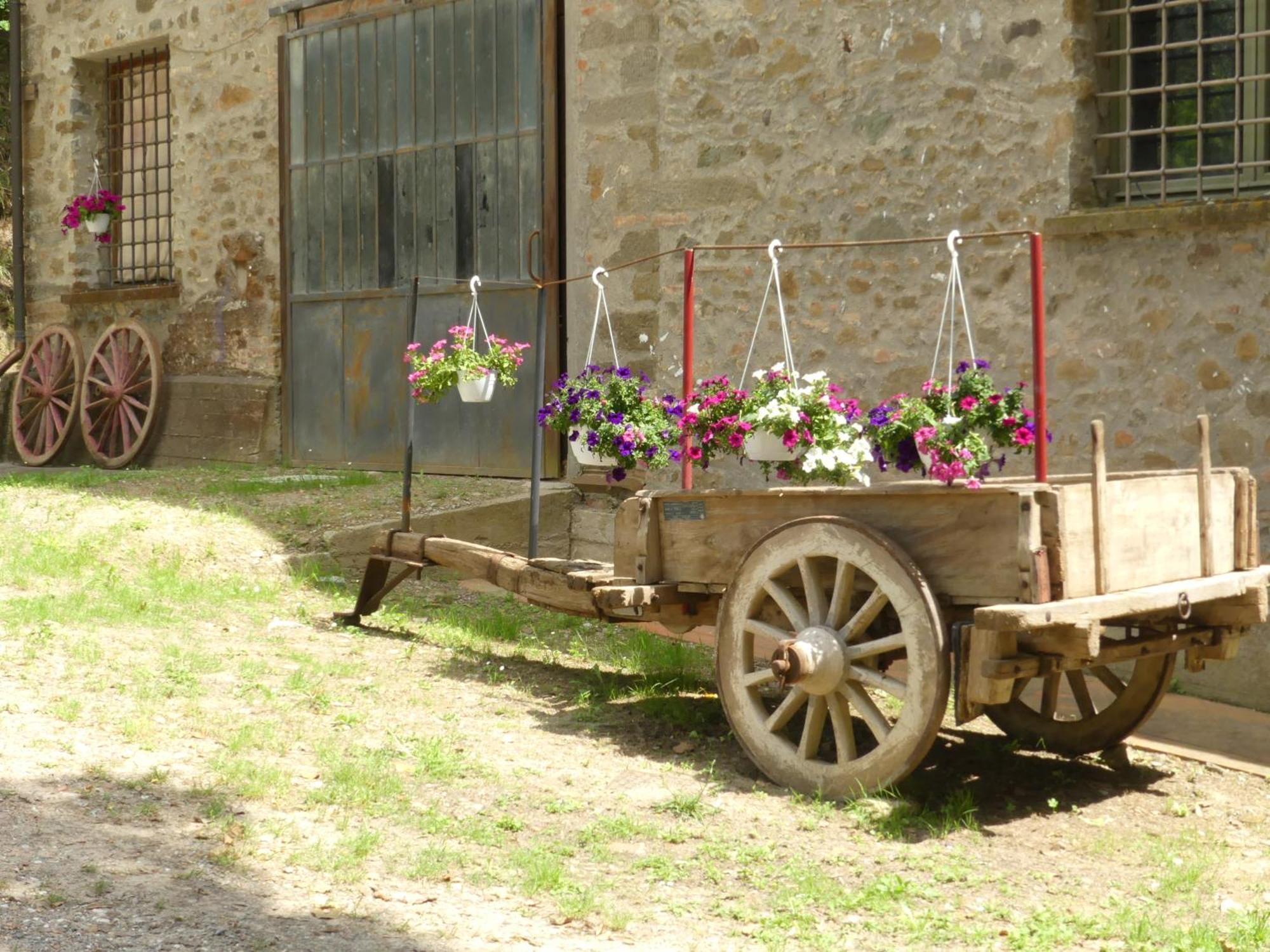 Helichrysum Bed and Breakfast Vinci Buitenkant foto