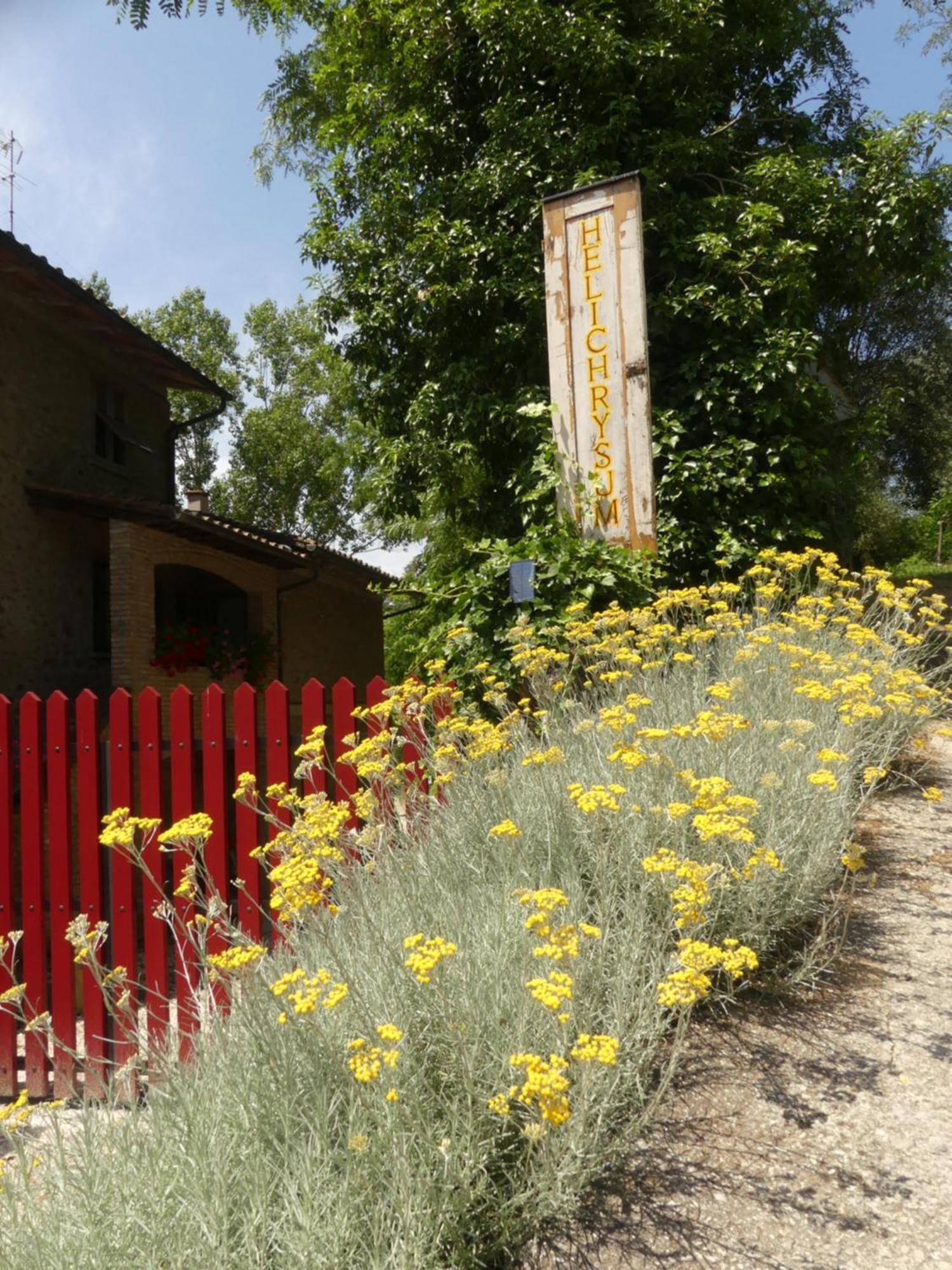 Helichrysum Bed and Breakfast Vinci Buitenkant foto